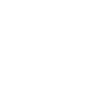 Silicon Supplies White Logo